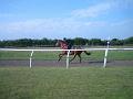 Newmarket_2010_124