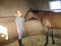 Newmarket_2010_132