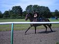 Newmarket_2010_138