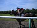 Newmarket_2010_139