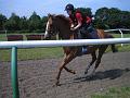 Newmarket_2010_140