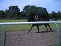 Newmarket_2010_141