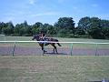 Newmarket_2010_145
