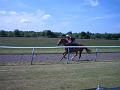 Newmarket_2010_148