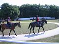 Newmarket_2010_159