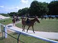 Newmarket_2010_162