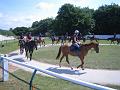 Newmarket_2010_163