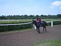 Newmarket_2010_170
