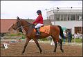 Odrava153110517