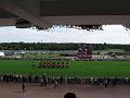 IMG_1104-800