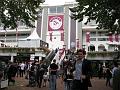 IMG_1106-800