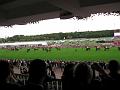 IMG_1110-800