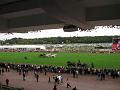 IMG_1114-800