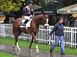 PA020004_th.jpg 7.4K