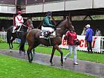 PA020040_th.jpg 6.5K
