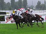 PA020050_th.jpg 5.8K