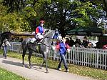 PA230035_th.jpg 7.7K