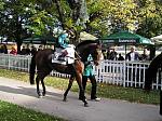 PA230039_th.jpg 7.5K