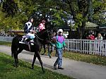 PA230041_th.jpg 6.9K