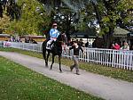PA230044_th.jpg 6.7K