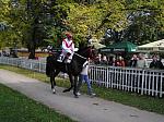 PA230049_th.jpg 6.7K