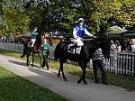 PA230054_th.jpg 6.8K