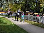 PA230056_th.jpg 6.6K