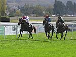 PA230088_2_th.jpg 5.6K