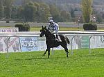 PA230088_th.jpg 5.4K