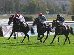 PA230089_2_th.jpg 6.5K