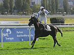 PA230089_th.jpg 6.1K