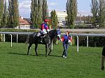 PA230097_th.jpg 5.8K