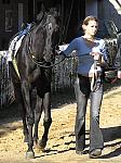 PA220007_th.jpg 7,0K
