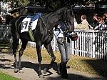 PA220015_th.jpg 7,7K
