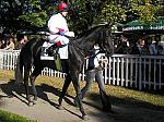 PA220057_th.jpg 7,6K