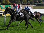 PA220065_th.jpg 6,8K