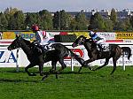 PA220066_th.jpg 6,7K