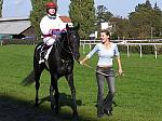 PA220074_th.jpg 6,2K