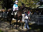 PA220159_th.jpg 7,1K