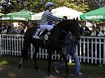 PA220167_th.jpg 6,7K