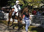 PA220168_th.jpg 7,8K