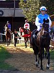 PA220169_th.jpg 6,9K