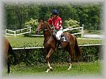 P6020716_th.jpg 6.1K