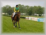 P6020724_th.jpg 4.9K