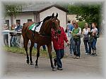 P6020734_th.jpg 5.6K