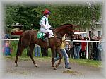 P6020794_th.jpg 5.8K