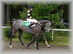 P6020806_th.jpg 5.5K