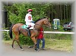 P6020810_th.jpg 5.8K