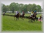 P6020830_th.jpg 5.0K