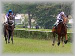 P6020837_1_th.jpg 5.5K